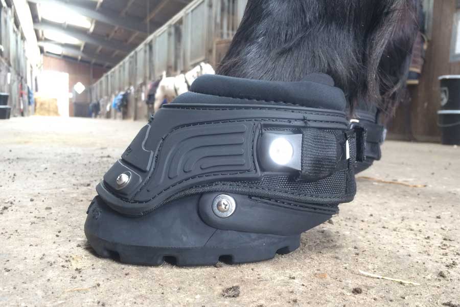 Easyboot Backcountry