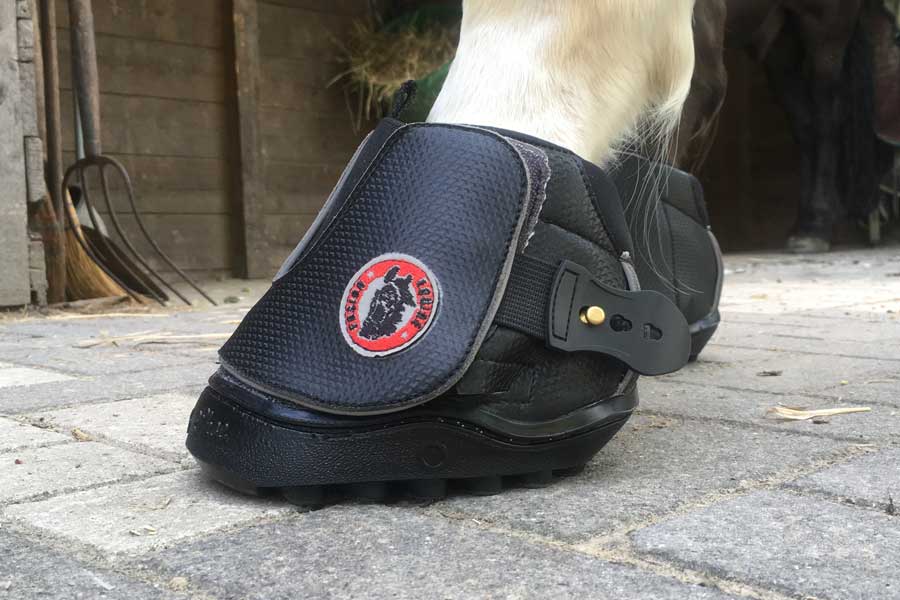 Equine Fusion Modelle