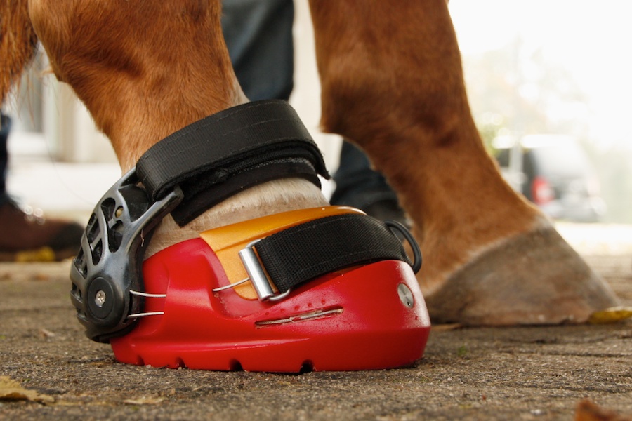 Renegade/Viper Hootboot